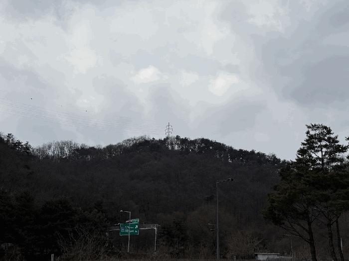 강원 원주시 임야