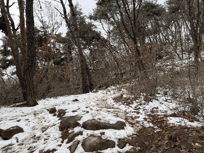 강원특별자치도 원주시 무실동 산64 임야 경매 사진 4