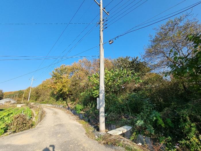 경상북도 안동시 풍산읍 마애리 162 전 경매 사진 1