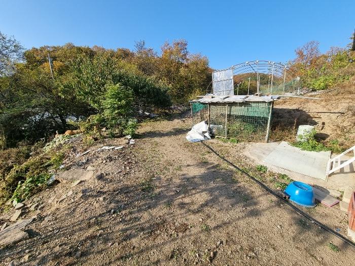 경상북도 안동시 풍산읍 마애리 162 전 경매 사진 2