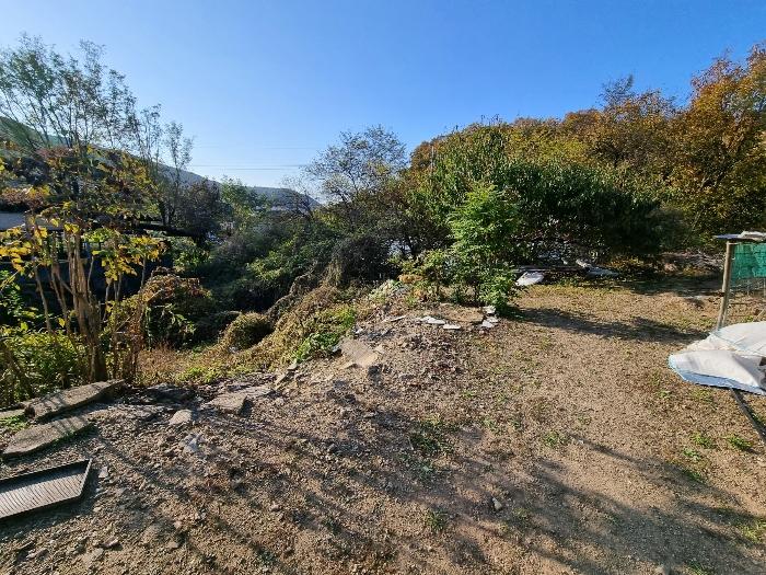 경상북도 안동시 풍산읍 마애리 162 전 경매 사진 5