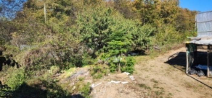 경상북도 안동시 풍산읍 마애리 162 전 경매 사진 8