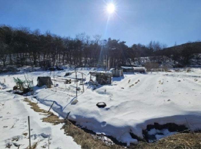 충청북도 제천시 강제동 산36-25 임야 경매 사진 13