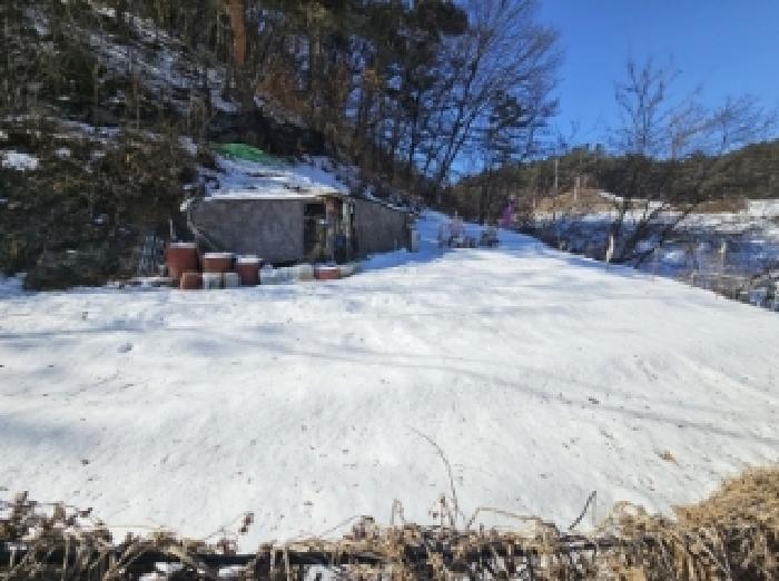 충청북도 제천시 강제동 산36-25 임야 경매 사진 23
