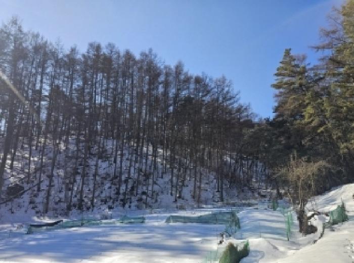 충청북도 제천시 강제동 산36-25 임야 경매 사진 27