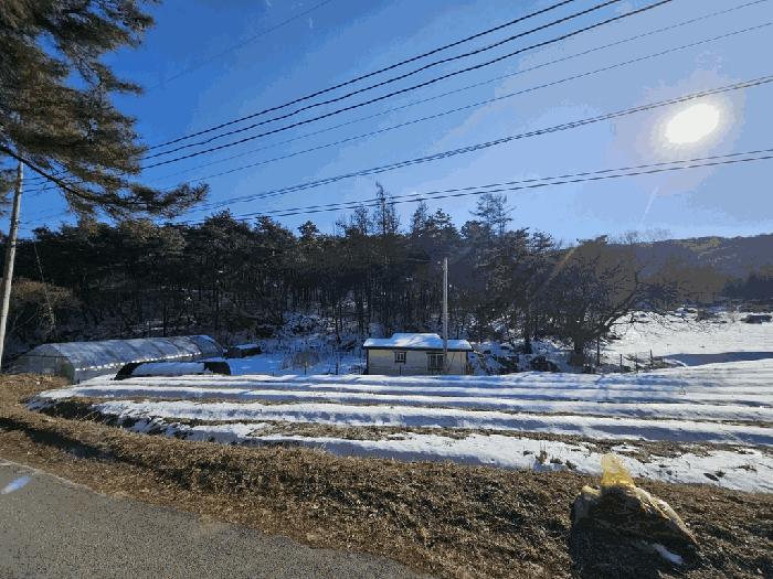 충청북도 제천시 강제동 산36-25 임야 경매 사진 55