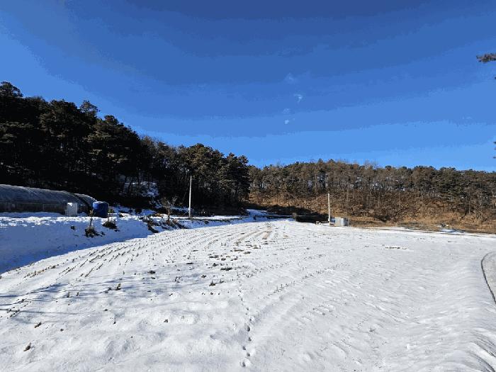 충청북도 제천시 강제동 산36-25 임야 경매 사진 9
