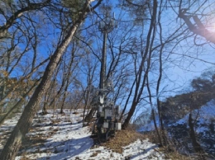 충청북도 제천시 강제동 산36-22 임야 경매 사진 33