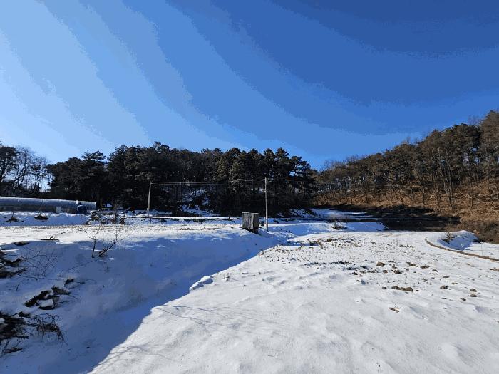 충청북도 제천시 강제동 산36-22 임야 경매 사진 4