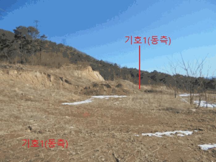 충청북도 제천시 봉양읍 미당리 산66-1 임야 경매 사진 3