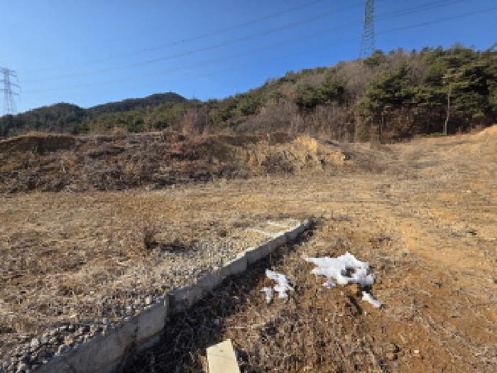 충청북도 제천시 봉양읍 미당리 산66-1 임야 경매 사진 33