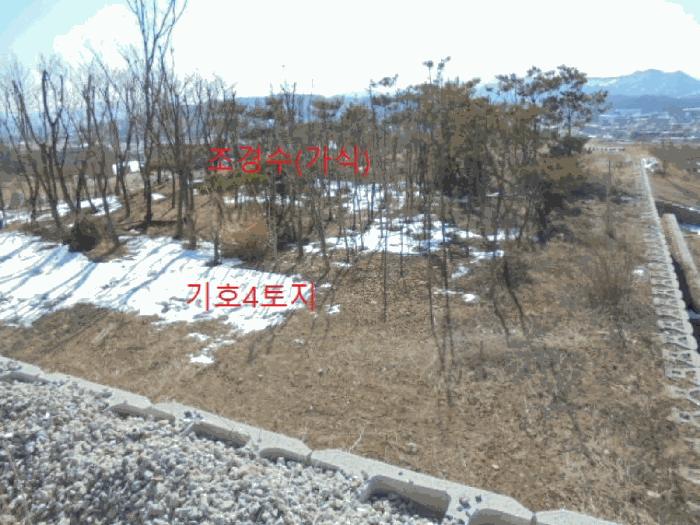 충청북도 제천시 봉양읍 미당리 산66-1 임야 경매 사진 6