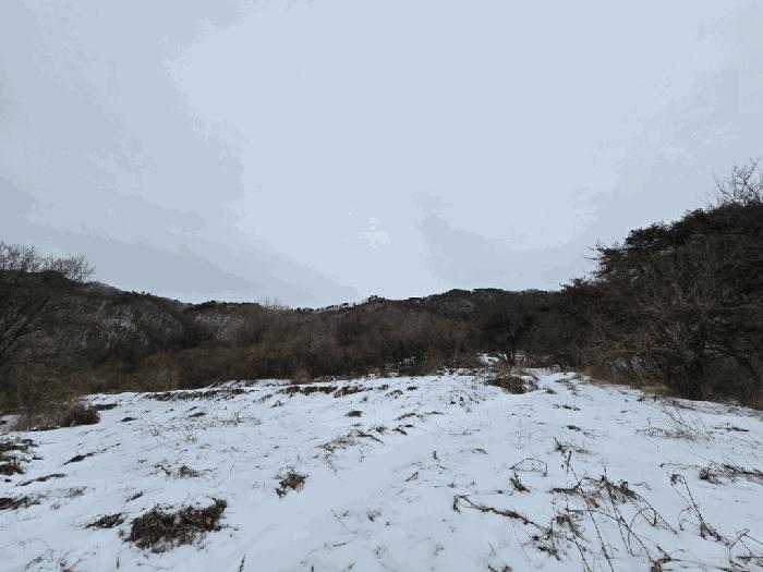 충청북도 제천시 백운면 애련리 437-27 답 경매 사진 2