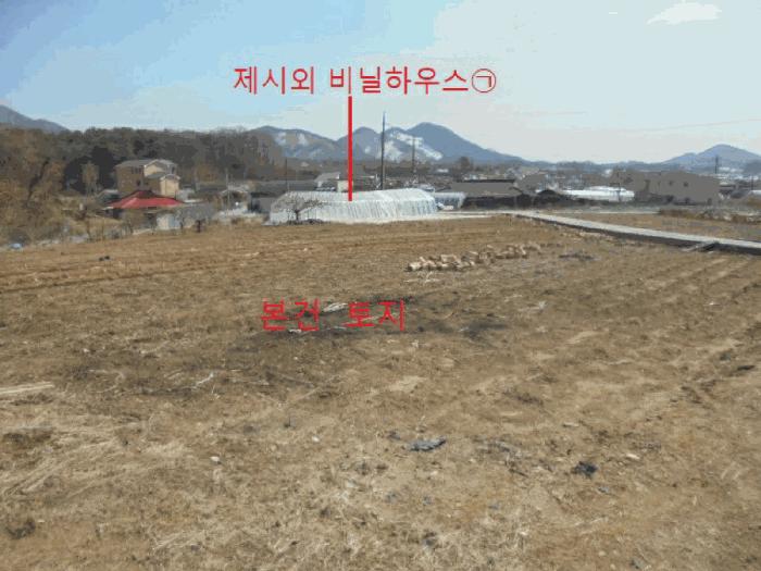 충청북도 제천시 흑석동 288 전 경매 사진 3