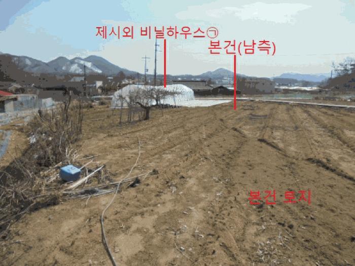 충청북도 제천시 흑석동 288 전 경매 사진 4