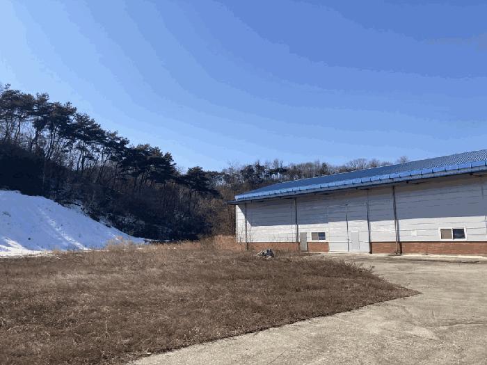 충청북도 제천시 금성면 양화리 산86 공장 경매 사진 4