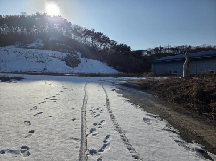 충청북도 제천시 금성면 양화리 산86 공장 경매 사진 6