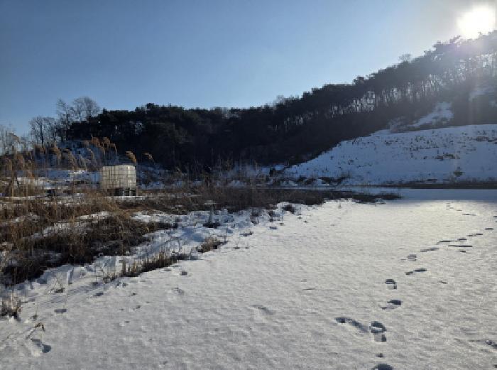 충청북도 제천시 금성면 양화리 산86 공장 경매 사진 7