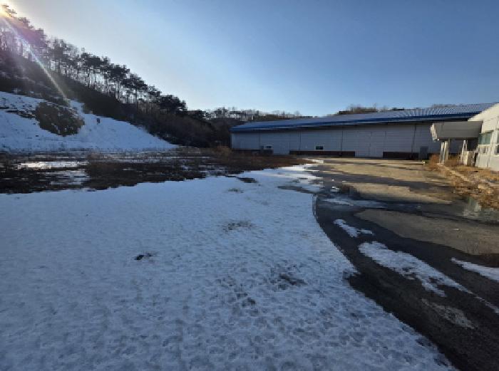 충청북도 제천시 금성면 양화리 산86 공장 경매 사진 8