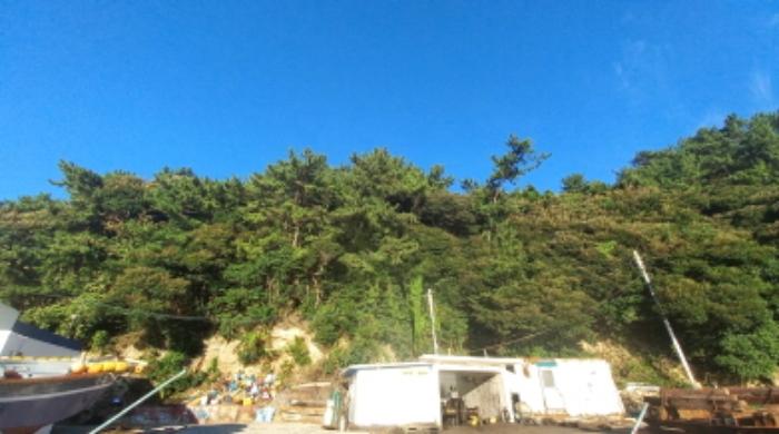 경상남도 통영시 욕지면 동항리 산76-1 임야 경매 사진 7