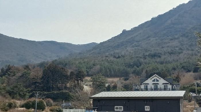 경상남도 거제시 남부면 저구리 산71-6 임야 경매 사진 7