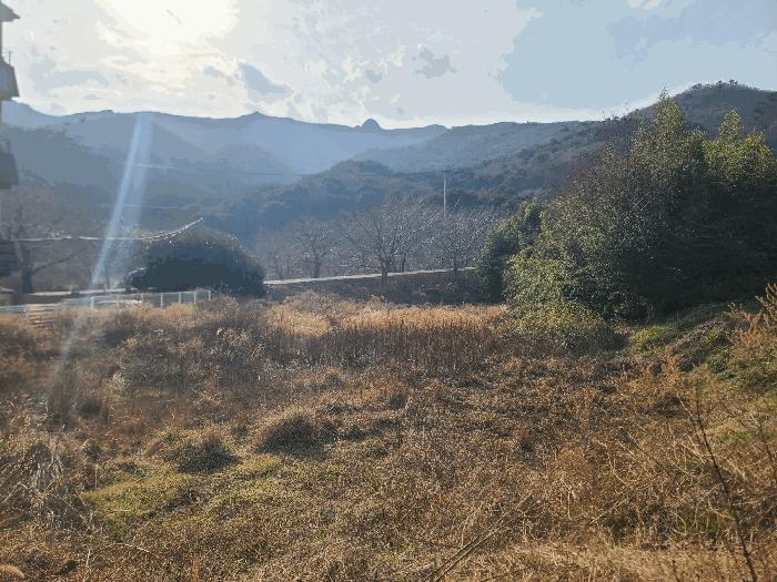 경상남도 거제시 동부면 학동리 497 답 경매 사진 2