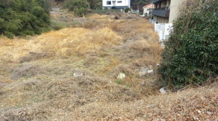 경상남도 거제시 동부면 학동리 497 답 경매 사진 5