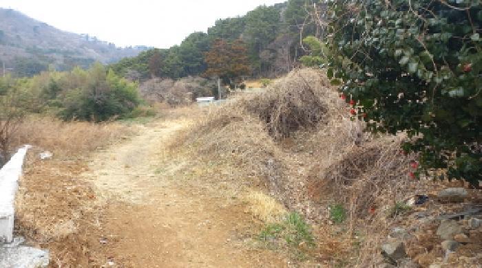 경상남도 거제시 동부면 학동리 497 답 경매 사진 7