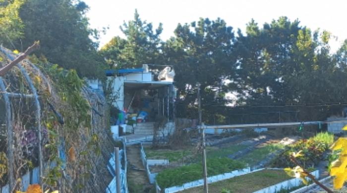 경상남도 거제시 거제면 오수리 1083 임야 경매 사진 3