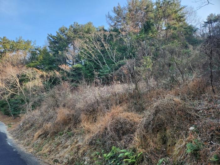 경상남도 거제시 동부면 가배리 871-2 전 경매 사진 5