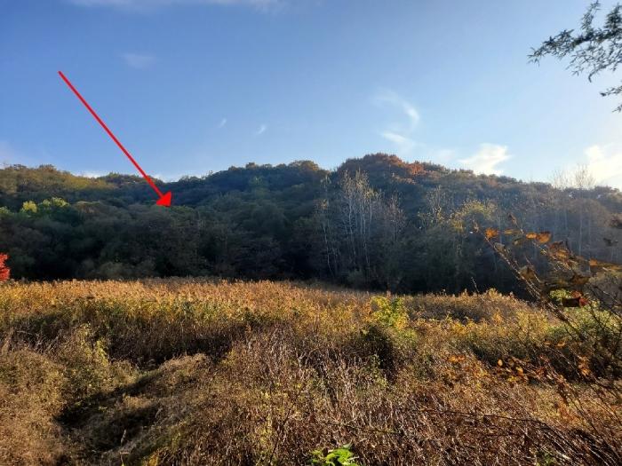 전북 군산시 답