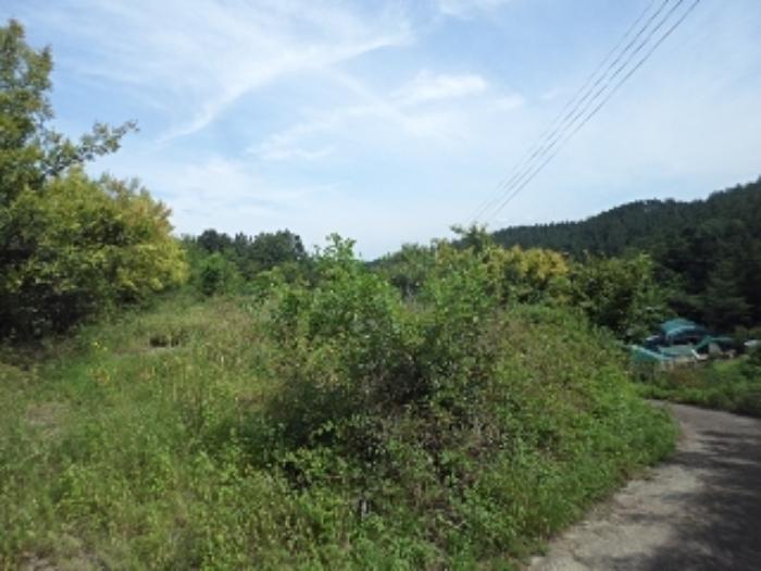 경상남도 밀양시 용평동 439-3 전 경매 사진 44