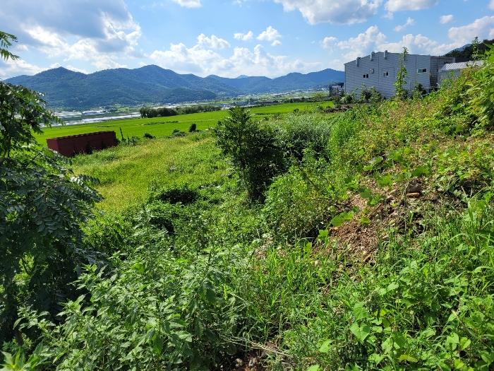 경상남도 밀양시 부북면 춘화리 405-2 답 경매 사진 2