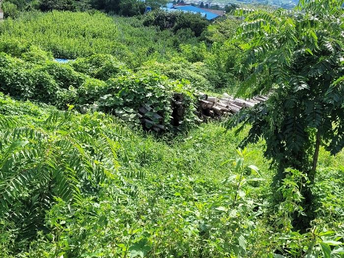 경상남도 밀양시 부북면 춘화리 405-2 답 경매 사진 5
