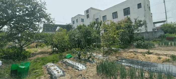 전북특별자치도 김제시 금산면 원평리 11-2 주택 경매 사진 22