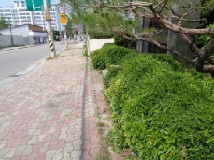 전북특별자치도 김제시 금산면 원평리 11-2 주택 경매 사진 32