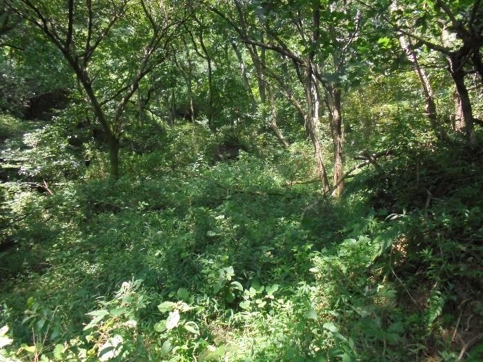경상남도 밀양시 부북면 제대리 539-1 전 경매 사진 4