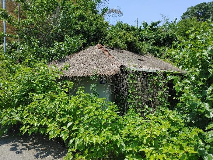 경상남도 창녕군 영산면 월령리 905 대지 경매 사진 2