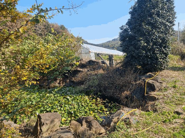 경상북도 포항시 남구 동해면 금광리 589-2 전 경매 사진 10