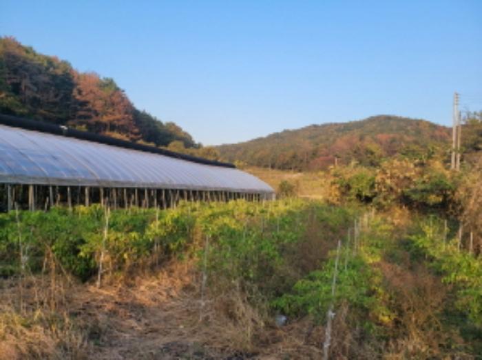 경상북도 포항시 남구 동해면 금광리 589-2 전 경매 사진 13