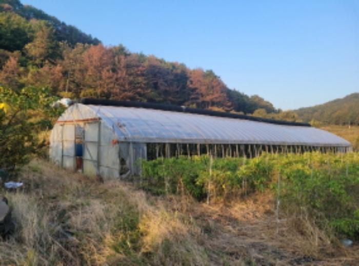 경상북도 포항시 남구 동해면 금광리 589-2 전 경매 사진 14