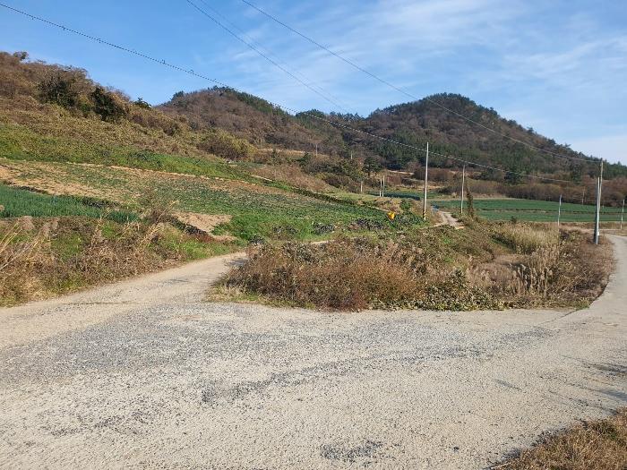 전라남도 신안군 암태면 도창리 280 전 경매 사진 3
