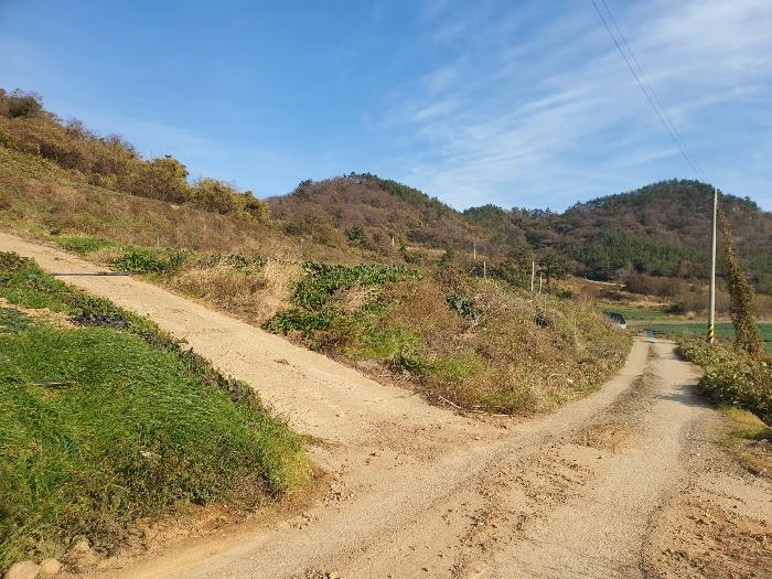 전라남도 신안군 암태면 도창리 280 전 경매 사진 4