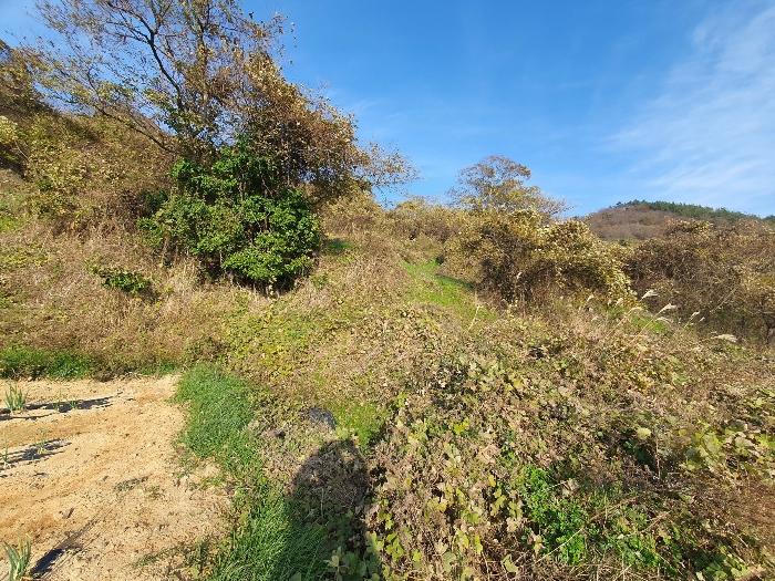 전라남도 신안군 암태면 도창리 280 전 경매 사진 5