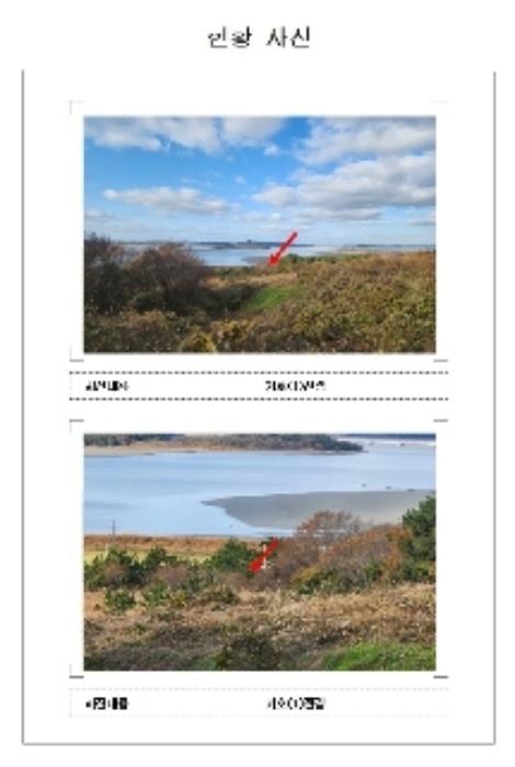 전라남도 신안군 암태면 도창리 280 전 경매 사진 7