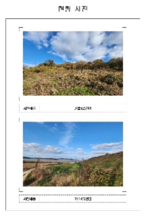 전라남도 신안군 암태면 도창리 280 전 경매 사진 8