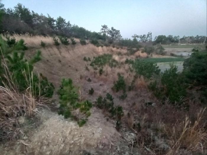전라남도 신안군 증도면 우전리 475 전 경매 사진 2