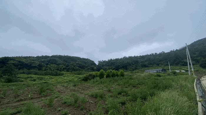 전라남도 진도군 군내면 분토리 1023 전 경매 사진 3
