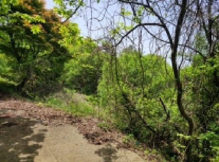 전라남도 보성군 겸백면 수남리 795 답 경매 사진 12