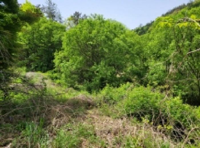 전라남도 보성군 겸백면 수남리 795 답 경매 사진 13